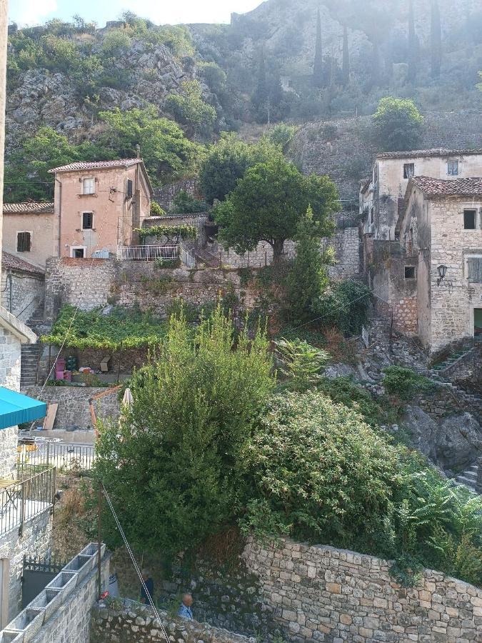 Guesthouse Bit Accommodation Kotor Exterior photo